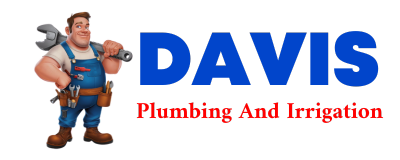 Trusted plumber in VANDEMERE